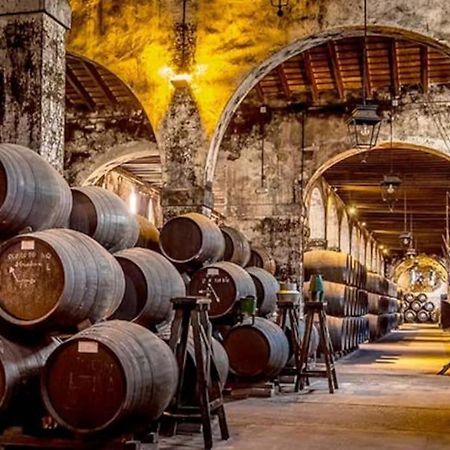 ヘレスApartamento Manzil En El Centro De Jerez De La F.アパートメント エクステリア 写真